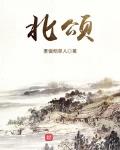 北颂最新章节免费下载