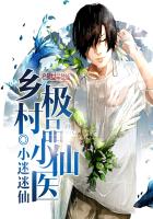 乡村小医仙 完整版