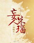 妄人锱铢txt百度云
