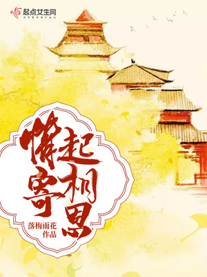 情寄以往什么意思