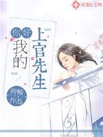 我的上官先生小说全集免费阅读