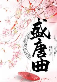 盛唐挽歌小说