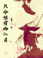 只今惟有西江月的下一句是什么