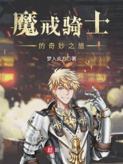 魔界骑士的奇妙之旅小说