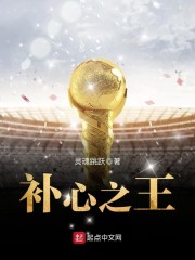 天麻补心王