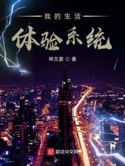 我的生活体验系统小说