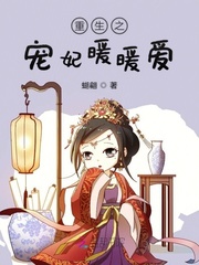 重生之宠妃之道