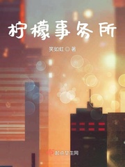 柠檬事务所 小说