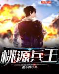 小说桃源兵王