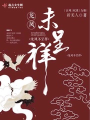 龙凤呈祥小说