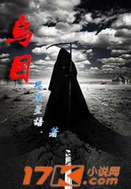 乌小沐小说