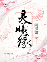 凤灵小说全文免费阅读