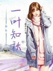 一叶知秋歌词