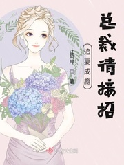 江风杨柳主角小说免费阅读