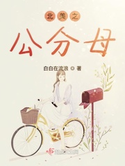 北美小说官网