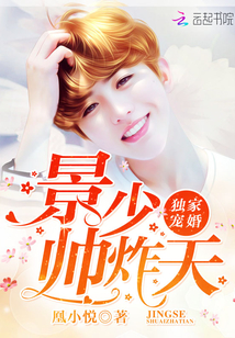 独家婚宠景少帅炸天正版