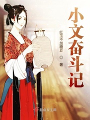 小文奋斗记小说免费阅读