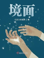 镜面小说