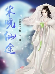 宋晓仙途小说免费阅读最新章节