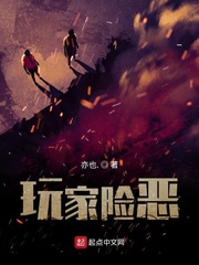 玩家险恶小说免费阅读全文