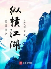 岳风笔趣阁无弹窗