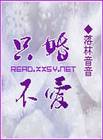 只婚不爱小说