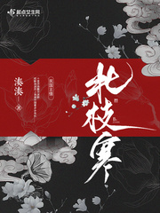 凑凑是哪个公司的