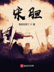 类似宋胆的小说