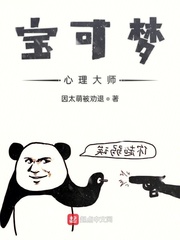宝可梦小说作者