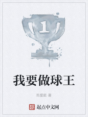 我要做球王 第501章