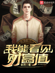 我能看见亏损值 小说