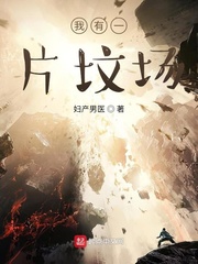 我有一片坟场小说全本下载