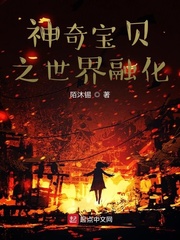 神奇宝贝之合众小说