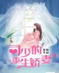 重生娇妻种田忙