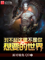 对不起不是你歌词