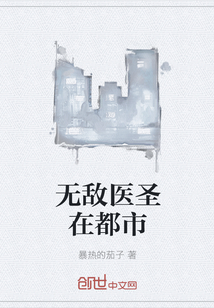 无敌医圣1至100集免费