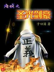 海贼之圣光剑豪TXT下载精校版