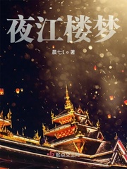 江楼夜月图简介