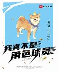 我真不是角色球员 第501章