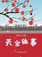 天宝小说