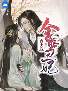 夜王的全能丑妃小说