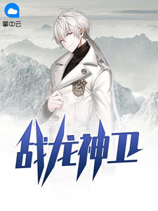 战龙神卫赵东苏菲txt