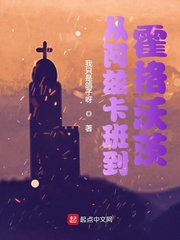 从阿磁卡班到霍格沃茨txt
