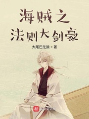 海贼之法则大剑豪 大尾巴芝狼 小说