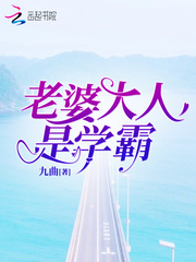 老婆大人免费阅读分纷
