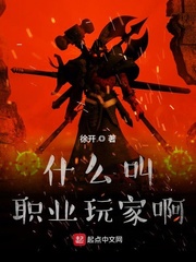 职业玩家游戏
