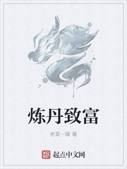 炼丹致富288章