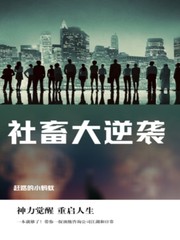 社畜真的太难了