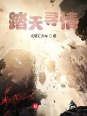 踏山寻道 小说
