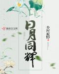 日月同辉小说免费阅读